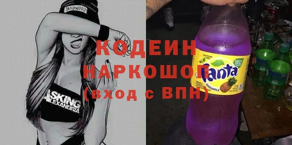 дживик Бородино
