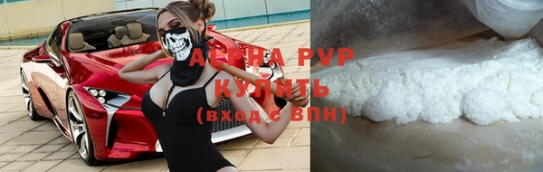 дживик Бородино