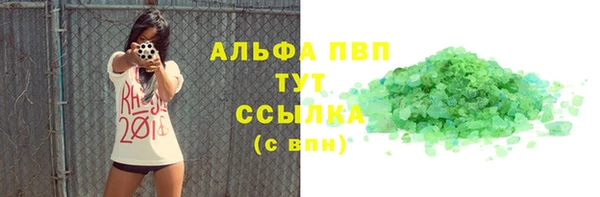 дживик Бородино