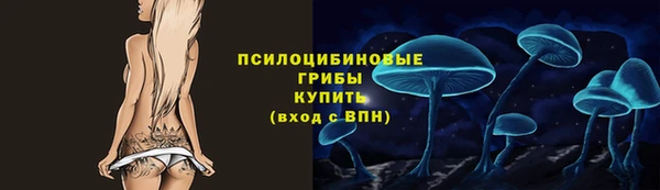 дживик Бородино