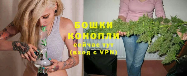 дживик Бородино