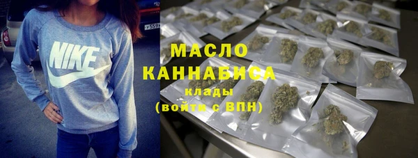 дживик Бородино